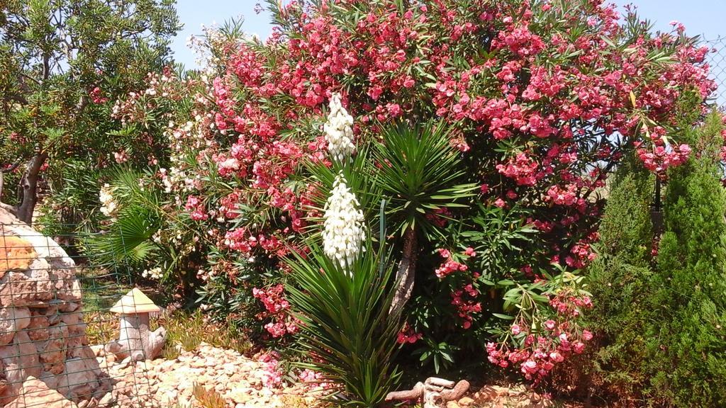 Chalet Atalants Yailja Alcossebre Dış mekan fotoğraf